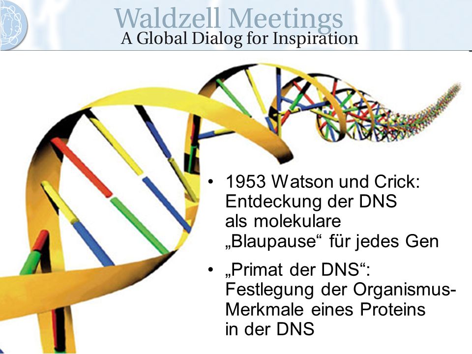 1953 Watson und Crick: Entdeckung der DNS als molekulare „Blaupause für jedes Gen