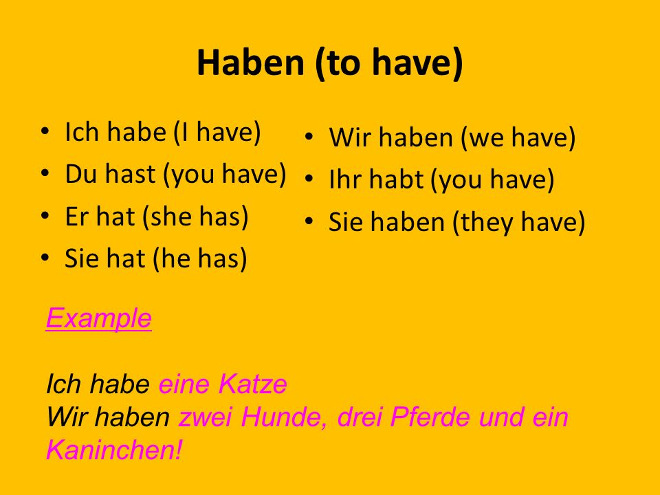 Haben (to have) Ich habe (I have) Wir haben (we have)