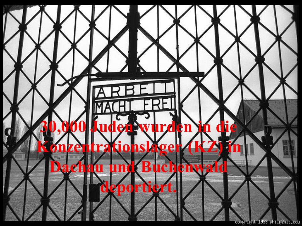 30,000 Juden wurden in die Konzentrationslager (KZ) in Dachau und Buchenwald deportiert.