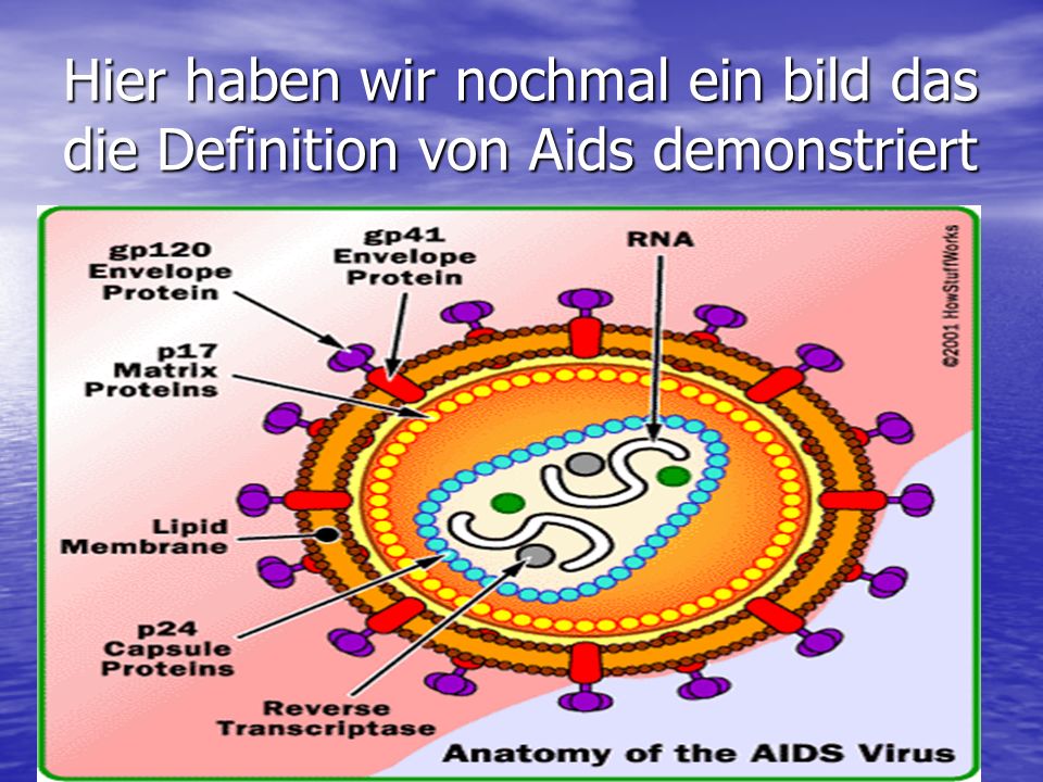 Hier haben wir nochmal ein bild das die Definition von Aids demonstriert