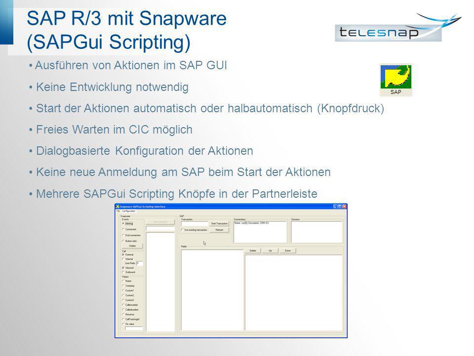 SAP R/3 mit Snapware (SAPGui Scripting)
