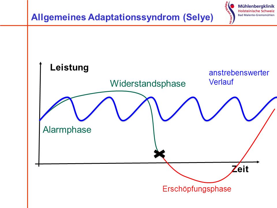 Allgemeines Adaptationssyndrom (Selye)