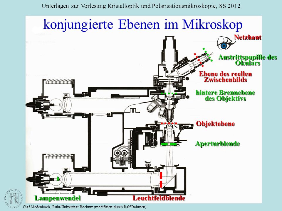 konjungierte Ebenen im Mikroskop