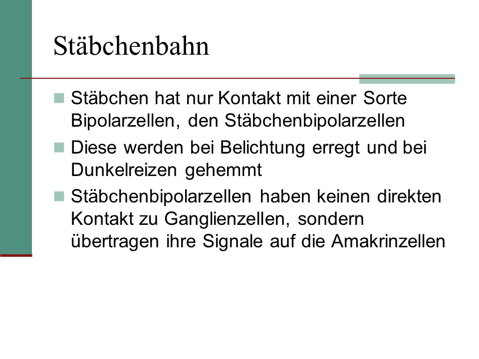 Stäbchenbahn Stäbchen hat nur Kontakt mit einer Sorte Bipolarzellen, den Stäbchenbipolarzellen.