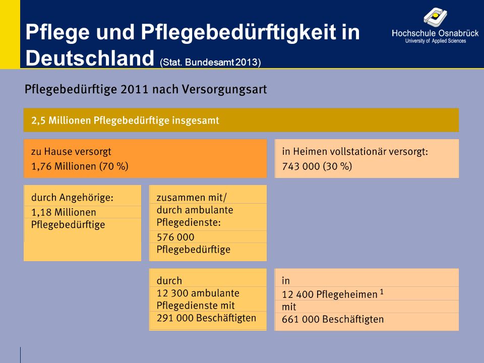 Pflege und Pflegebedürftigkeit in Deutschland (Stat. Bundesamt 2013)