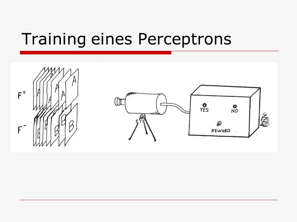 Training eines Perceptrons