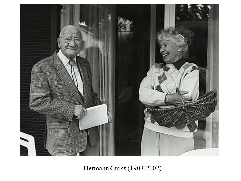 Hermann Gross ( )