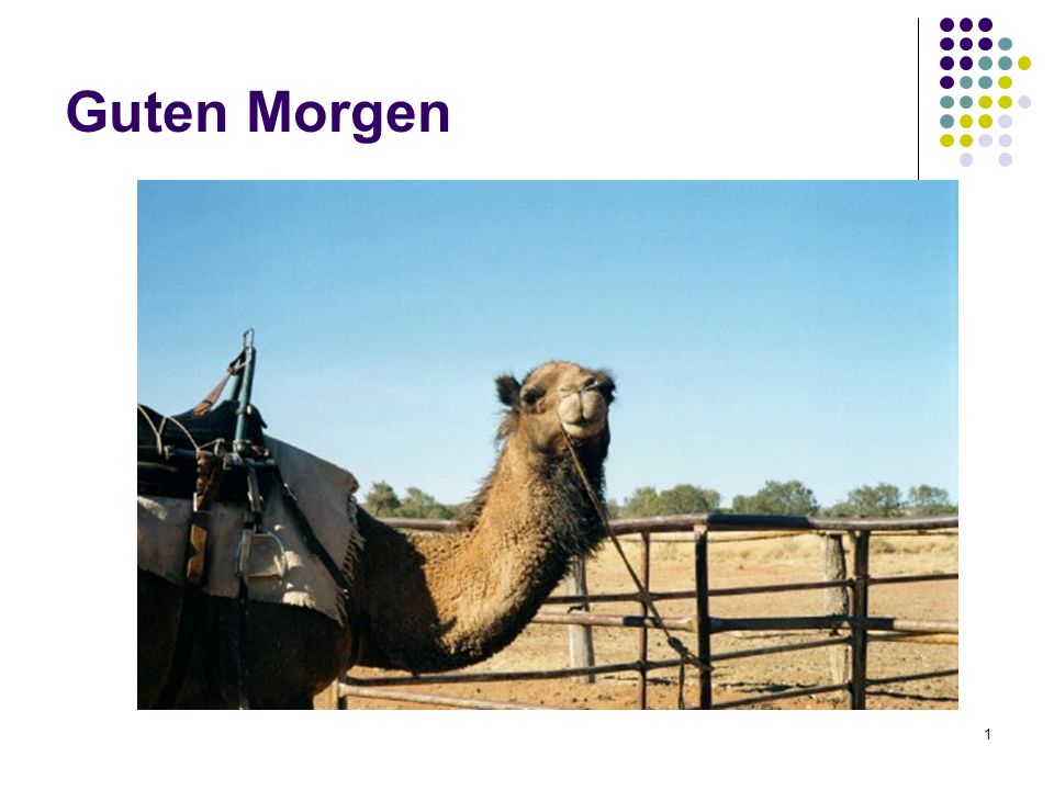 Guten Morgen Begrüßung/ Vorstellung ich