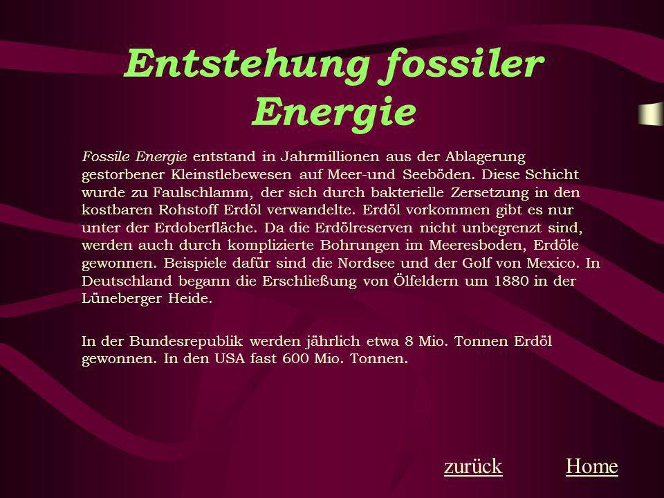 Entstehung fossiler Energie