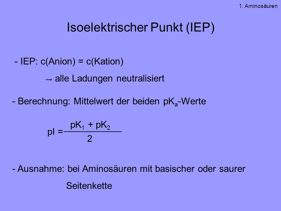 Isoelektrischer Punkt (IEP)