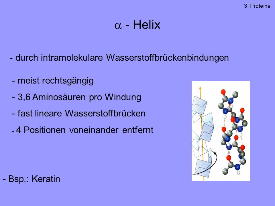 a - Helix durch intramolekulare Wasserstoffbrückenbindungen