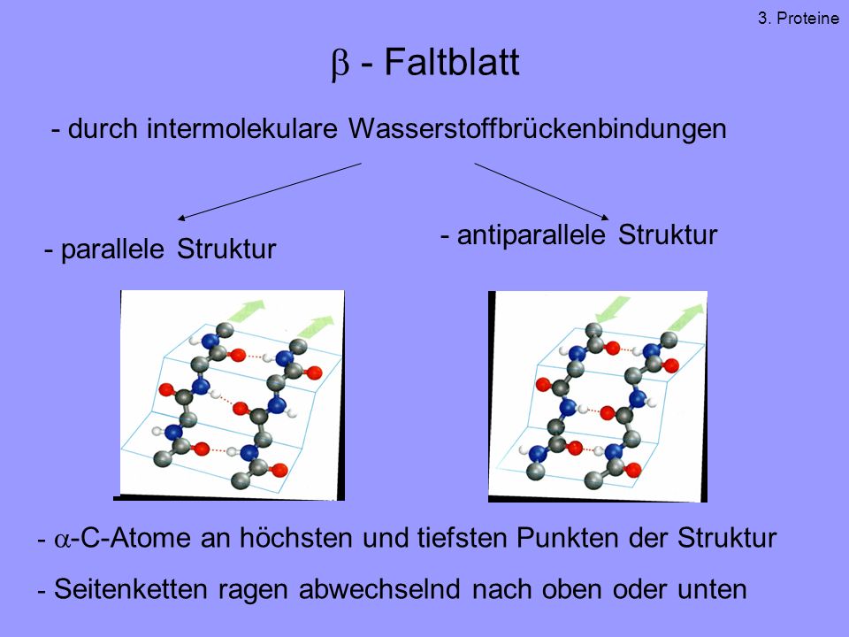 b - Faltblatt - durch intermolekulare Wasserstoffbrückenbindungen
