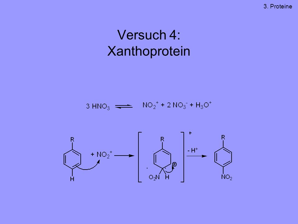 Versuch 4: Xanthoprotein