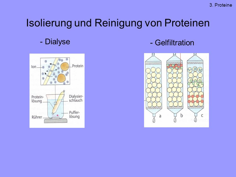 Isolierung und Reinigung von Proteinen
