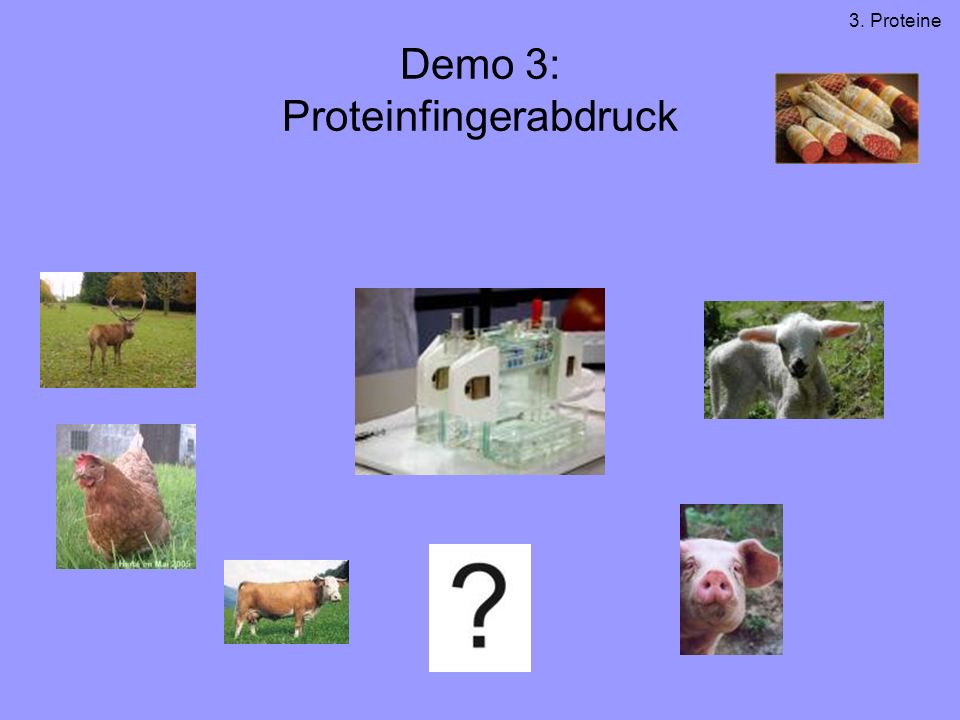 Demo 3: Proteinfingerabdruck
