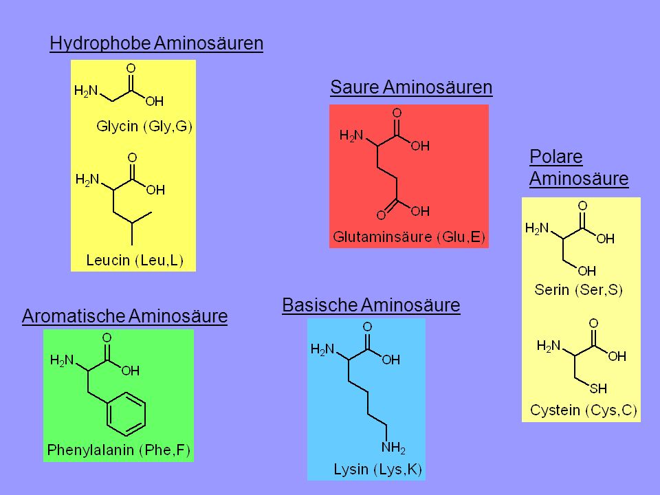 Hydrophobe Aminosäuren