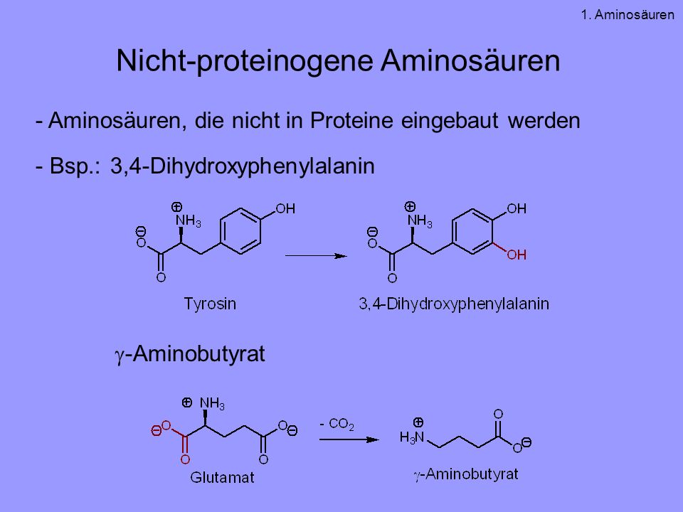 Nicht-proteinogene Aminosäuren