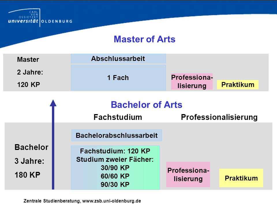 Professionalisierung Bachelorabschlussarbeit Studium zweier Fächer:
