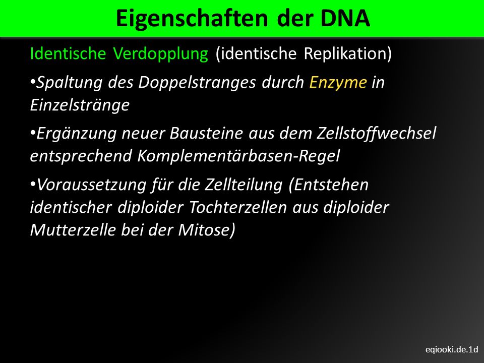 Eigenschaften der DNA Identische Verdopplung (identische Replikation)