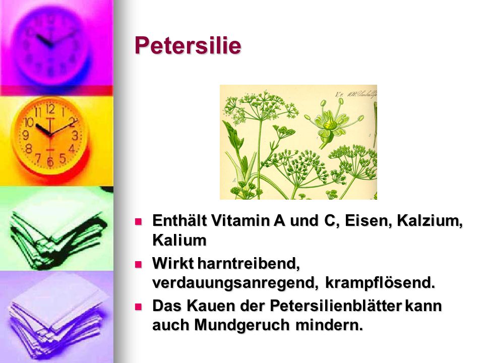 Petersilie Enthält Vitamin A und C, Eisen, Kalzium, Kalium