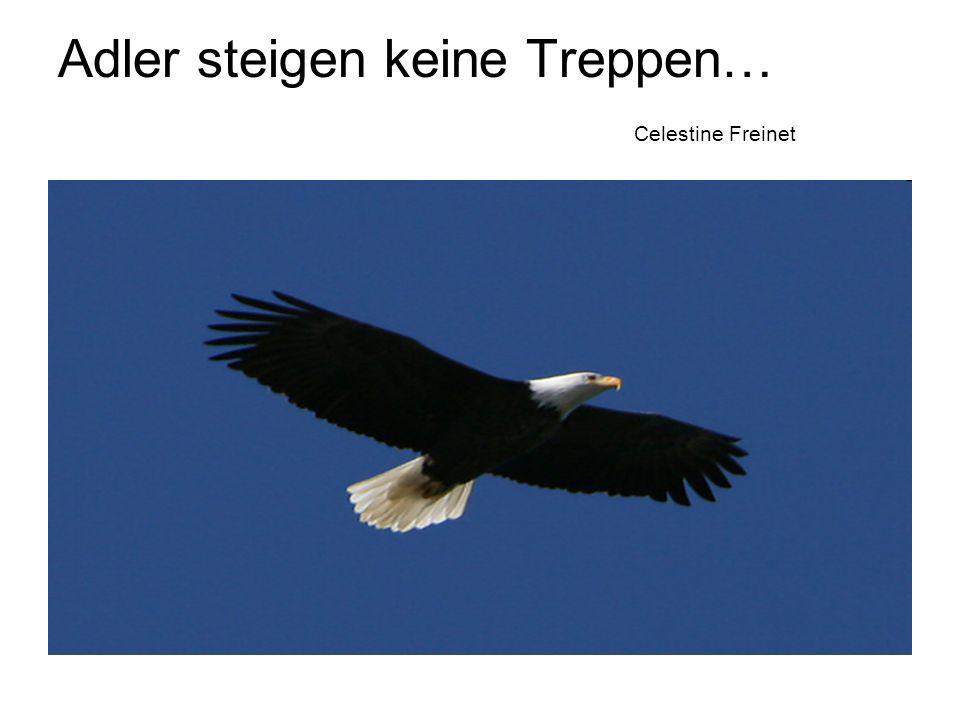 Adler steigen keine Treppen… Celestine Freinet
