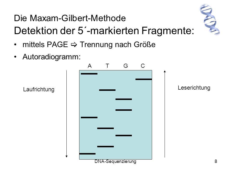 Die Maxam-Gilbert-Methode
