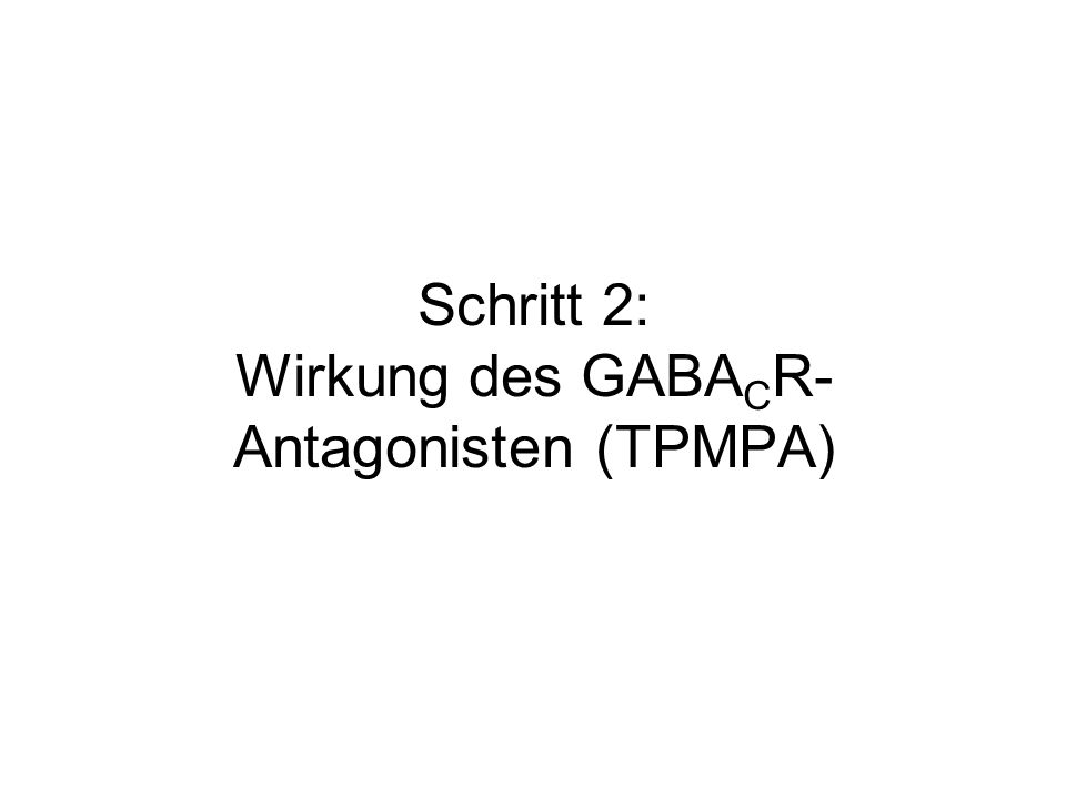 Schritt 2: Wirkung des GABACR-Antagonisten (TPMPA)