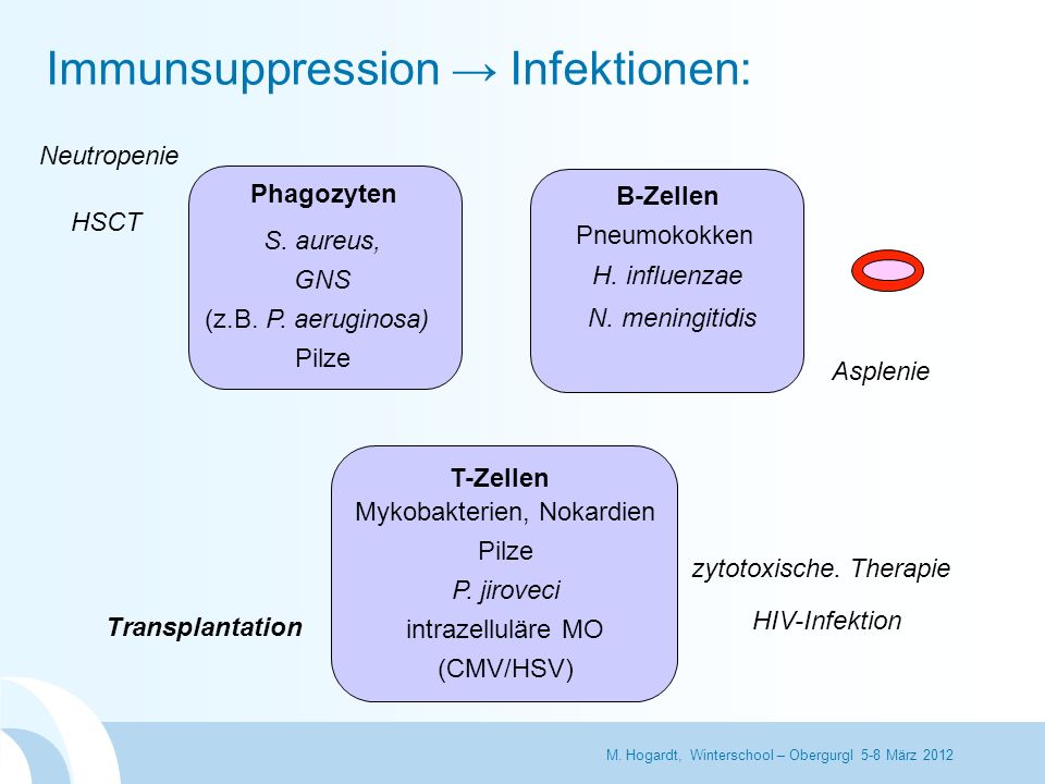 Immunsuppression → Infektionen:
