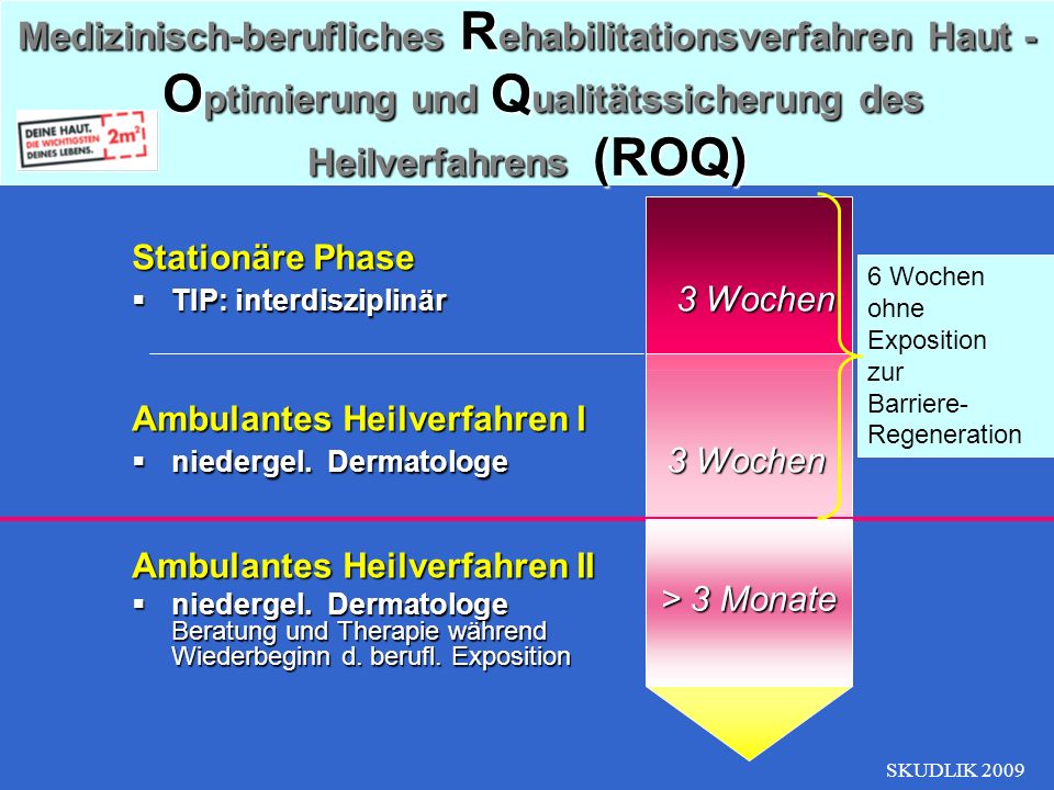 Medizinisch-berufliches Rehabilitationsverfahren Haut - Optimierung und Qualitätssicherung des Heilverfahrens (ROQ)
