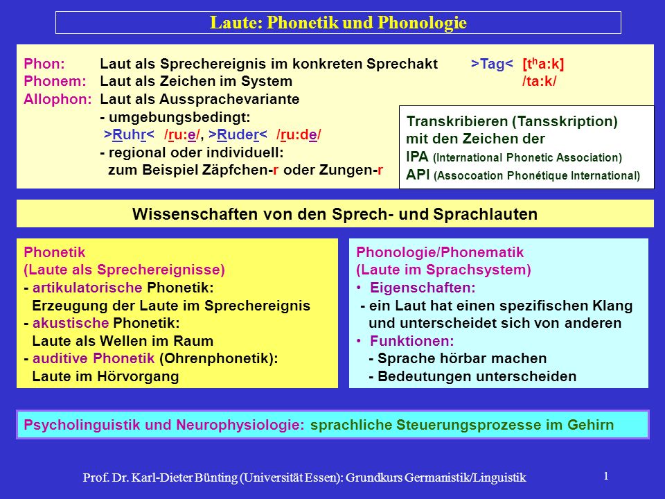 Laute: Phonetik und Phonologie