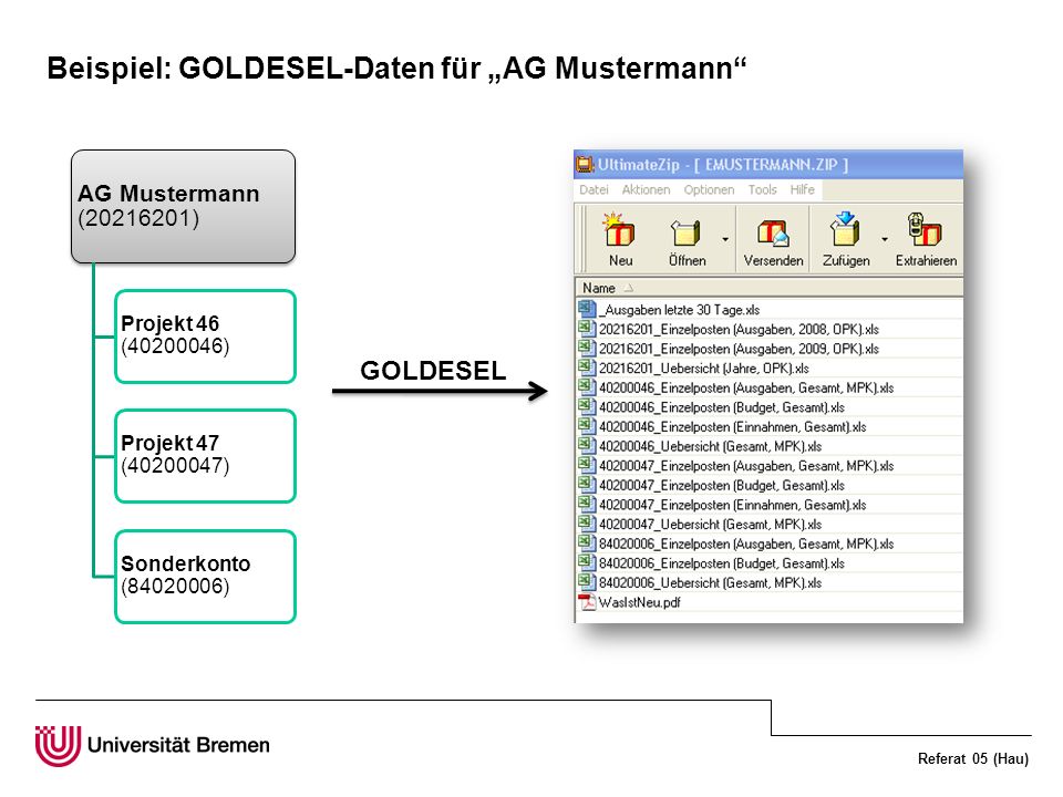Beispiel: GOLDESEL-Daten für „AG Mustermann