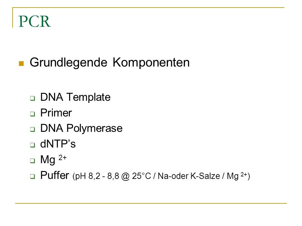 PCR Grundlegende Komponenten DNA Template Primer DNA Polymerase dNTP’s