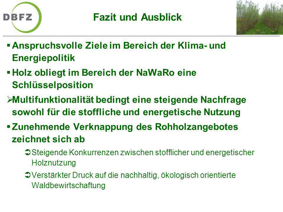Fazit und Ausblick Anspruchsvolle Ziele im Bereich der Klima- und Energiepolitik. Holz obliegt im Bereich der NaWaRo eine Schlüsselposition.