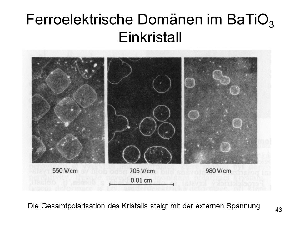 Ferroelektrische Domänen im BaTiO3 Einkristall