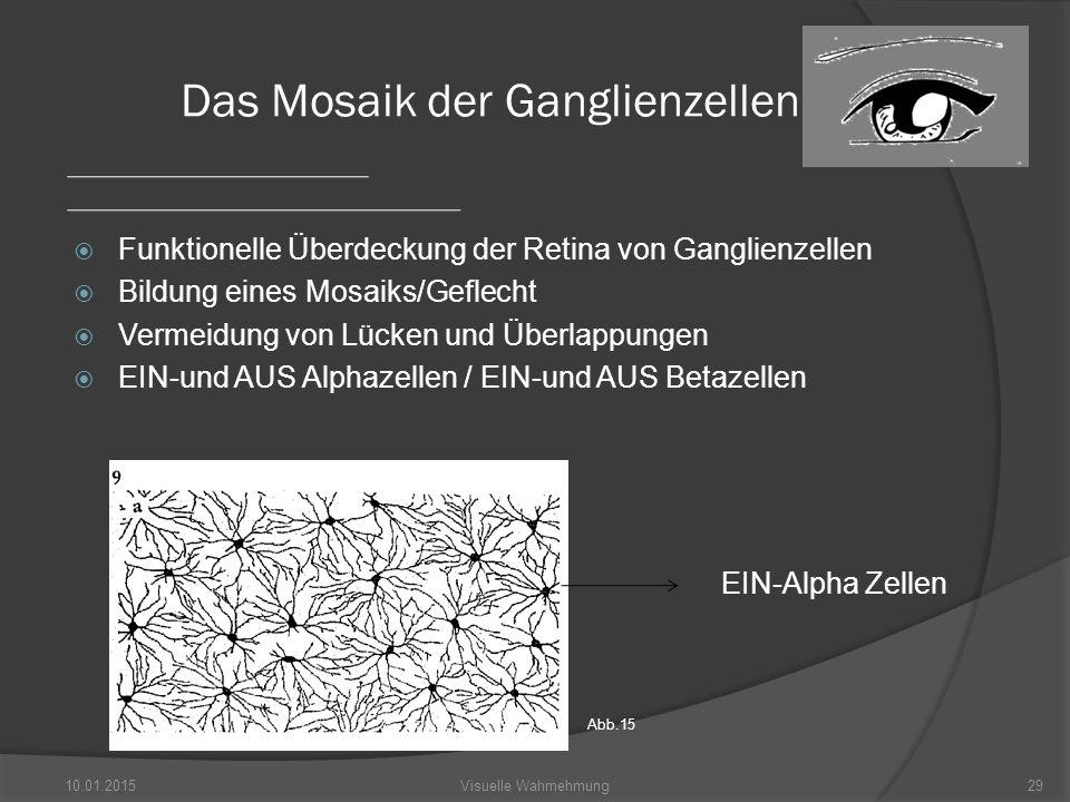 Das Mosaik der Ganglienzellen