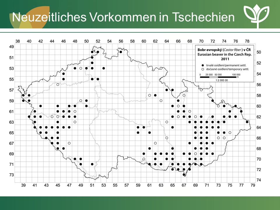Neuzeitliches Vorkommen in Tschechien