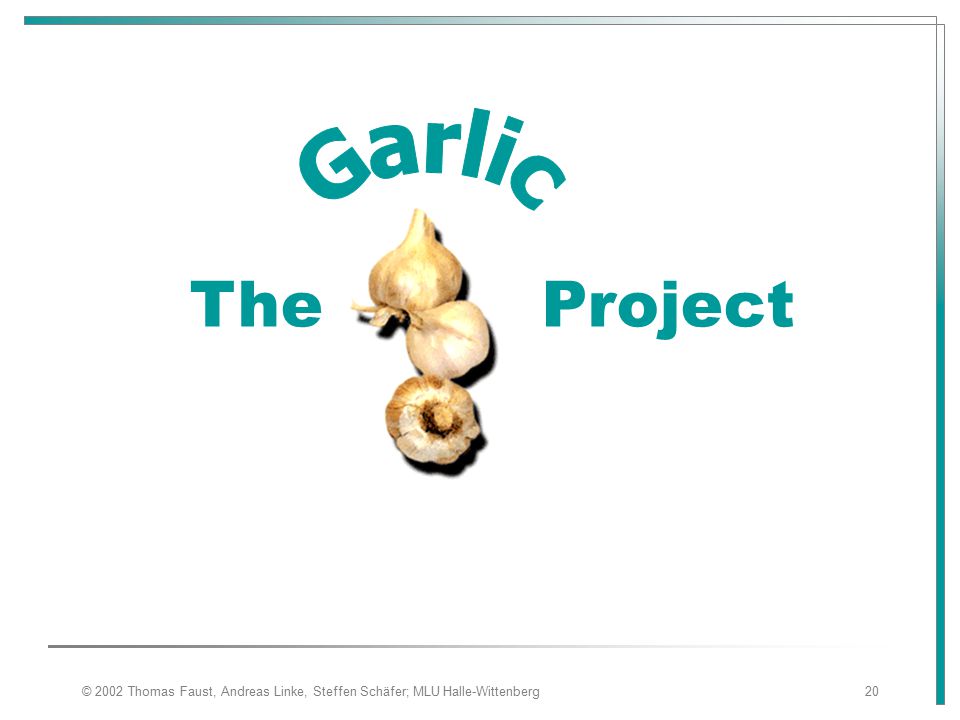 Garlic The Project © 2002 Thomas Faust, Andreas Linke, Steffen Schäfer; MLU Halle-Wittenberg