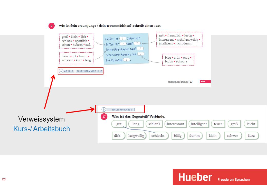 Regeln für die Textarbeit auf dem Niveau A1 gemeinsam formulieren