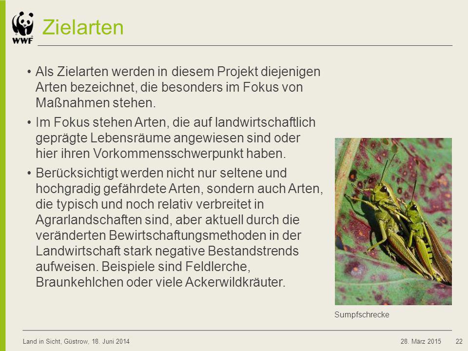 Zielarten. Als Zielarten werden in diesem Projekt diejenigen Arten bezeichnet, die besonders im Fokus von Maßnahmen stehen.