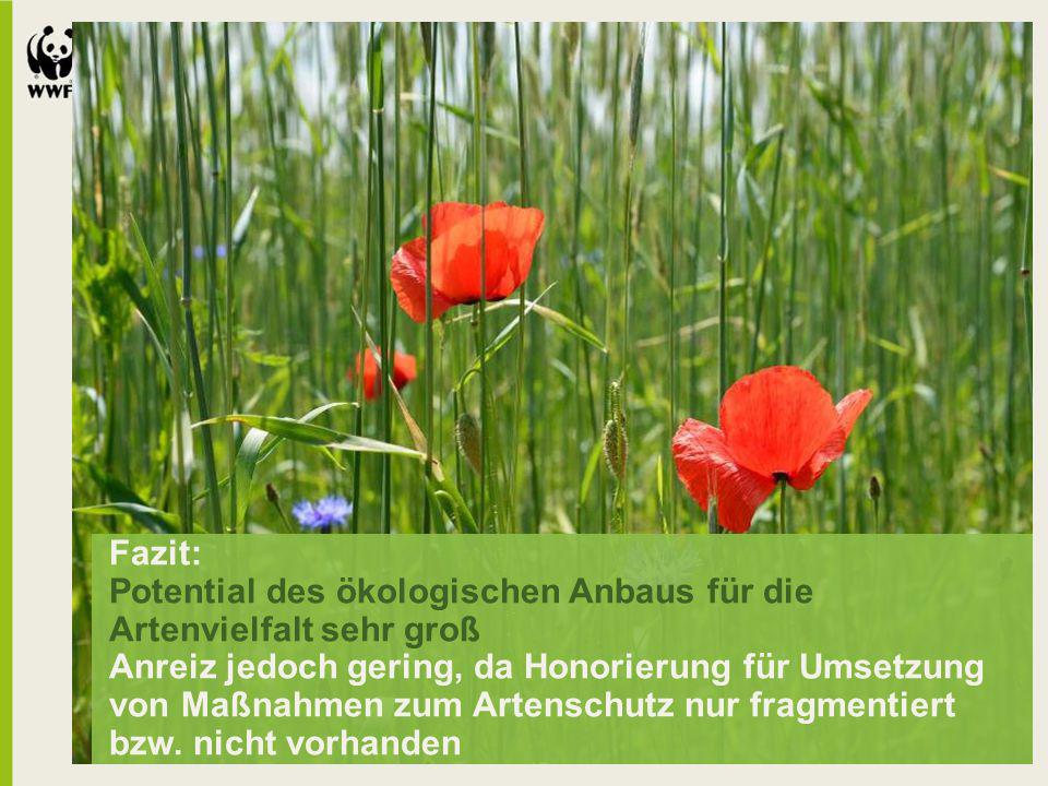 Fazit: Potential des ökologischen Anbaus für die Artenvielfalt sehr groß Anreiz jedoch gering, da Honorierung für Umsetzung von Maßnahmen zum Artenschutz nur fragmentiert bzw.