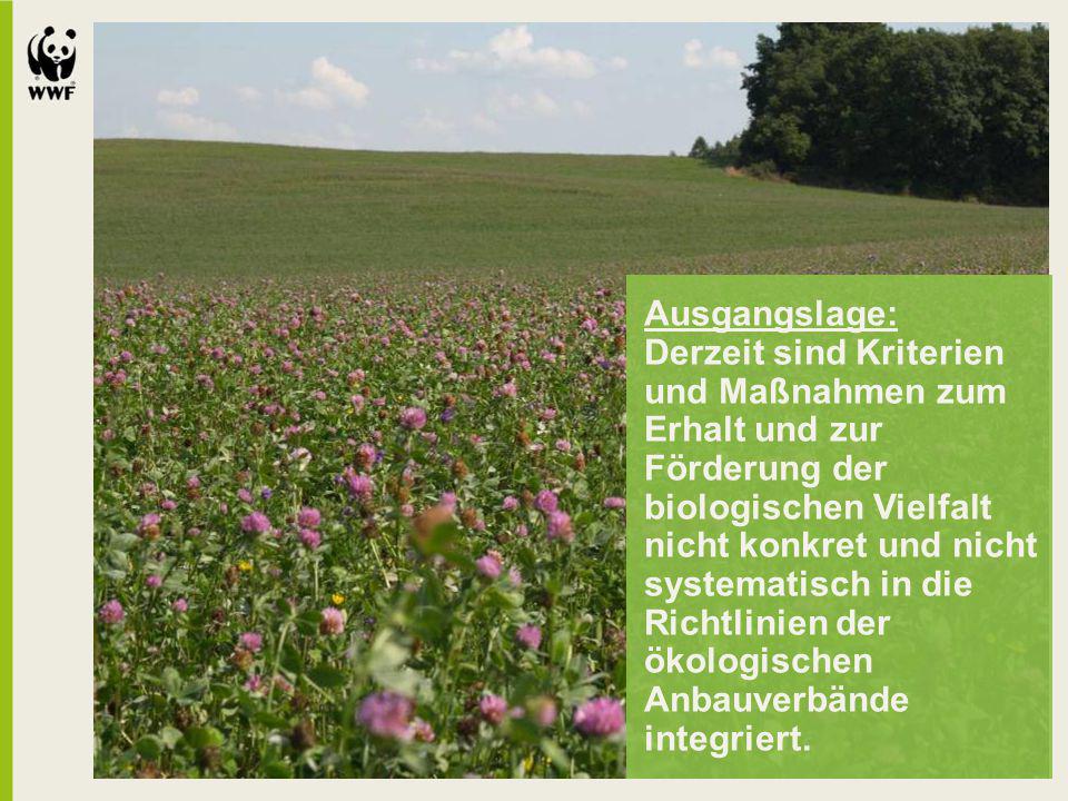 Ausgangslage: Derzeit sind Kriterien und Maßnahmen zum Erhalt und zur Förderung der biologischen Vielfalt nicht konkret und nicht systematisch in die Richtlinien der ökologischen Anbauverbände integriert.