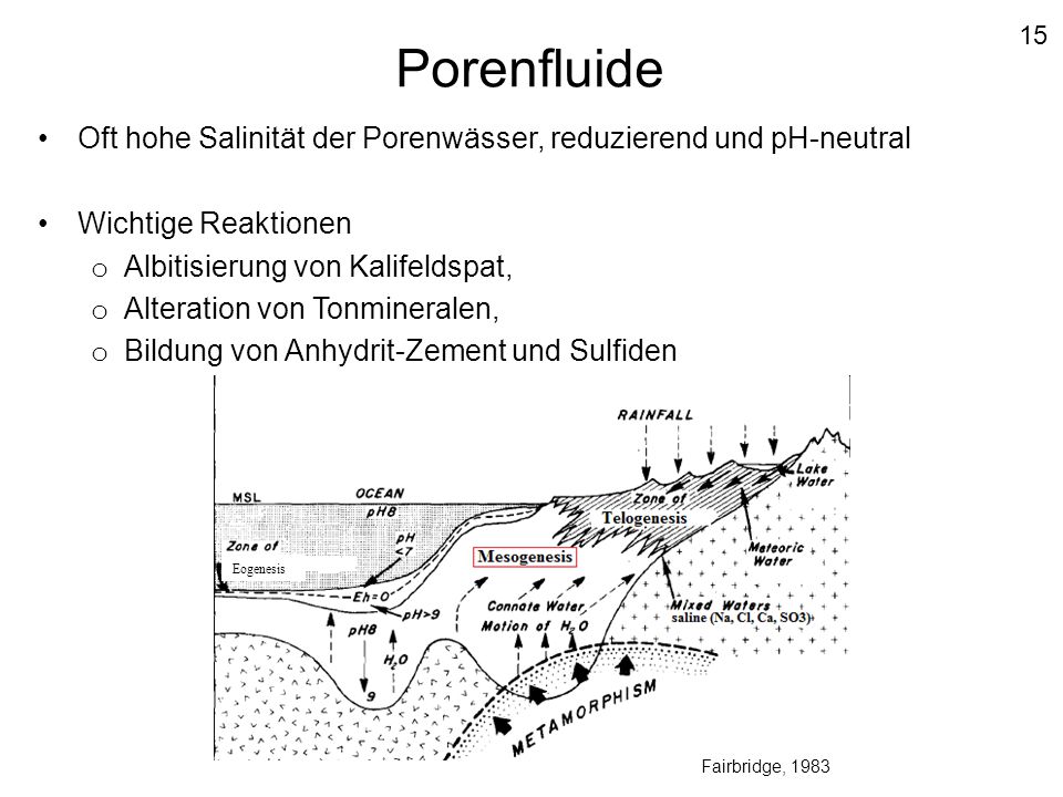 15 Porenfluide. Oft hohe Salinität der Porenwässer, reduzierend und pH-neutral. Wichtige Reaktionen.