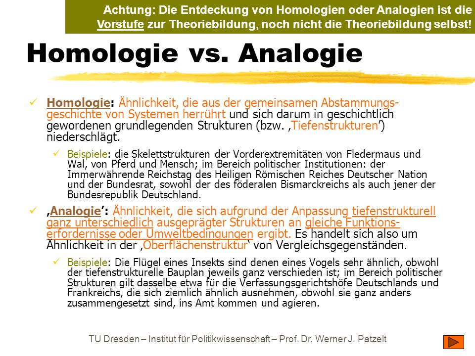 Achtung: Die Entdeckung von Homologien oder Analogien ist die Vorstufe zur Theoriebildung, noch nicht die Theoriebildung selbst!