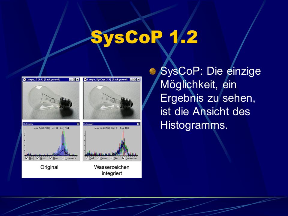 SysCoP 1.2 SysCoP: Die einzige Möglichkeit, ein Ergebnis zu sehen, ist die Ansicht des Histogramms.