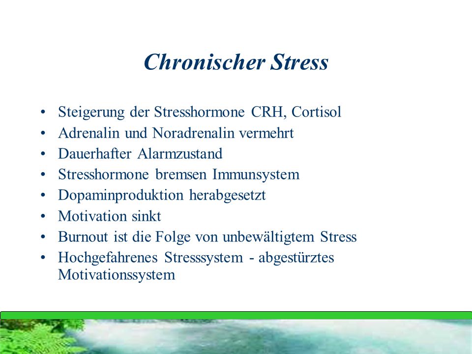 Chronischer Stress Steigerung der Stresshormone CRH, Cortisol