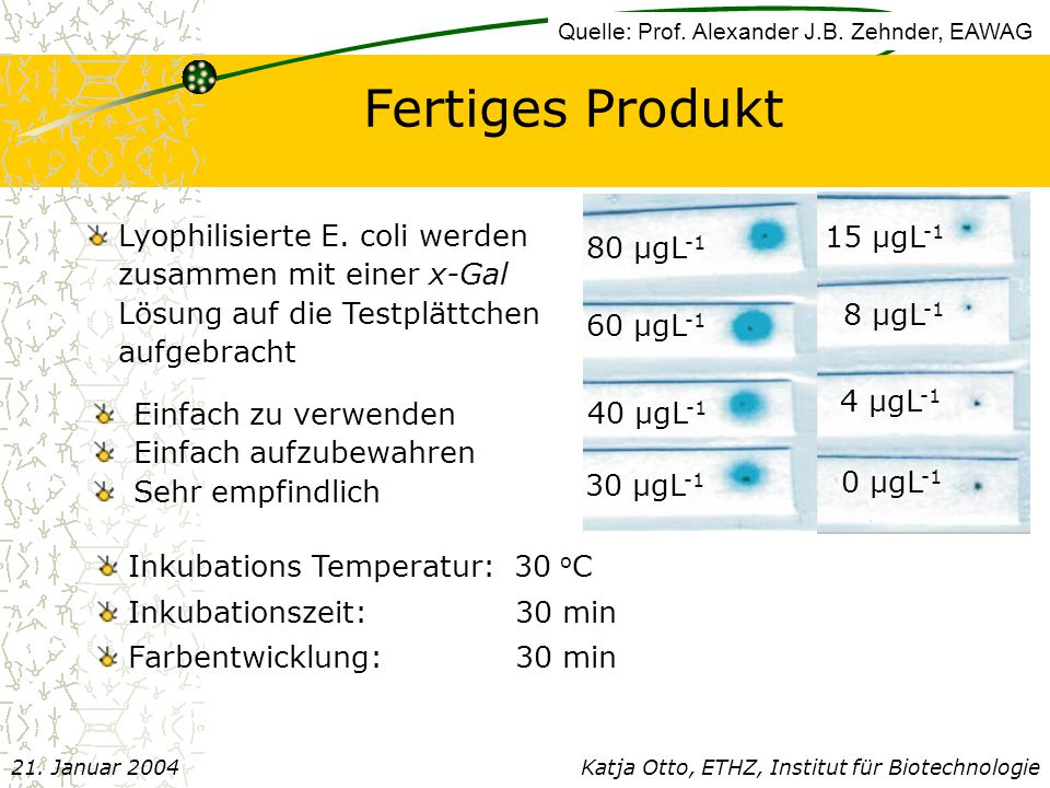 Fertiges Produkt Lyophilisierte E. coli werden 15 µgL-1 80 µgL-1