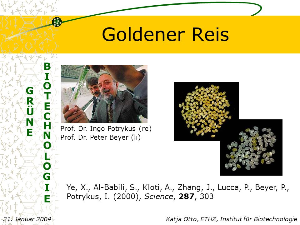 Goldener Reis B I O G T R Ü C N H E N L G E