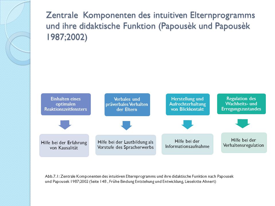 Zentrale Komponenten des intuitiven Elternprogramms und ihre didaktische Funktion (Papousèk und Papousèk 1987;2002)