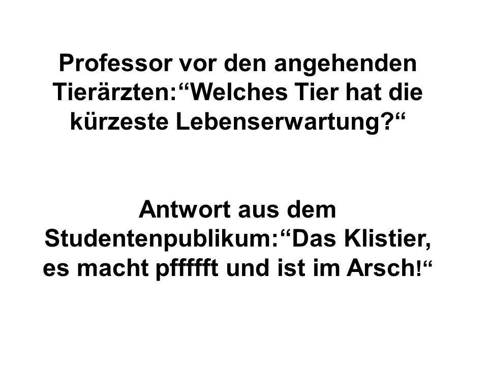 Professor vor den angehenden Tierärzten: Welches Tier hat die kürzeste Lebenserwartung
