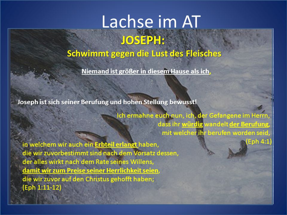 Lachse im AT JOSEPH: Schwimmt gegen die Lust des Fleisches